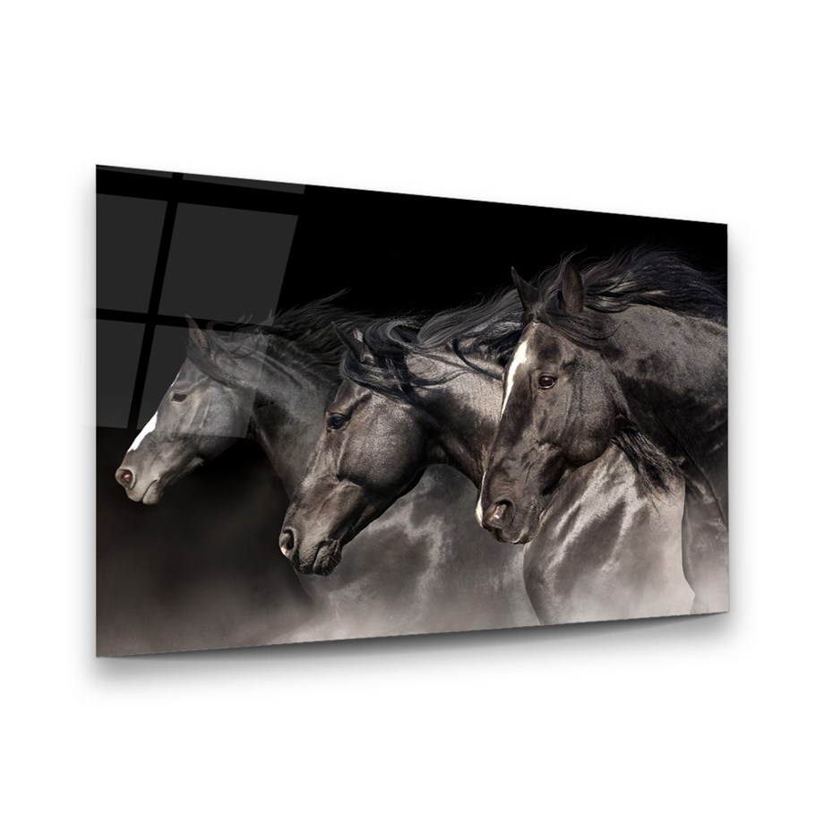 Atlar Yatay Cam Tablo-Glass Art Concept