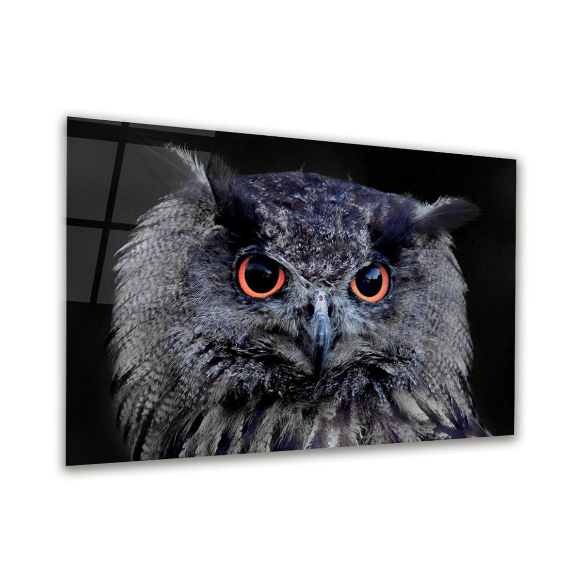 Baykuş Yatay Cam Tablo