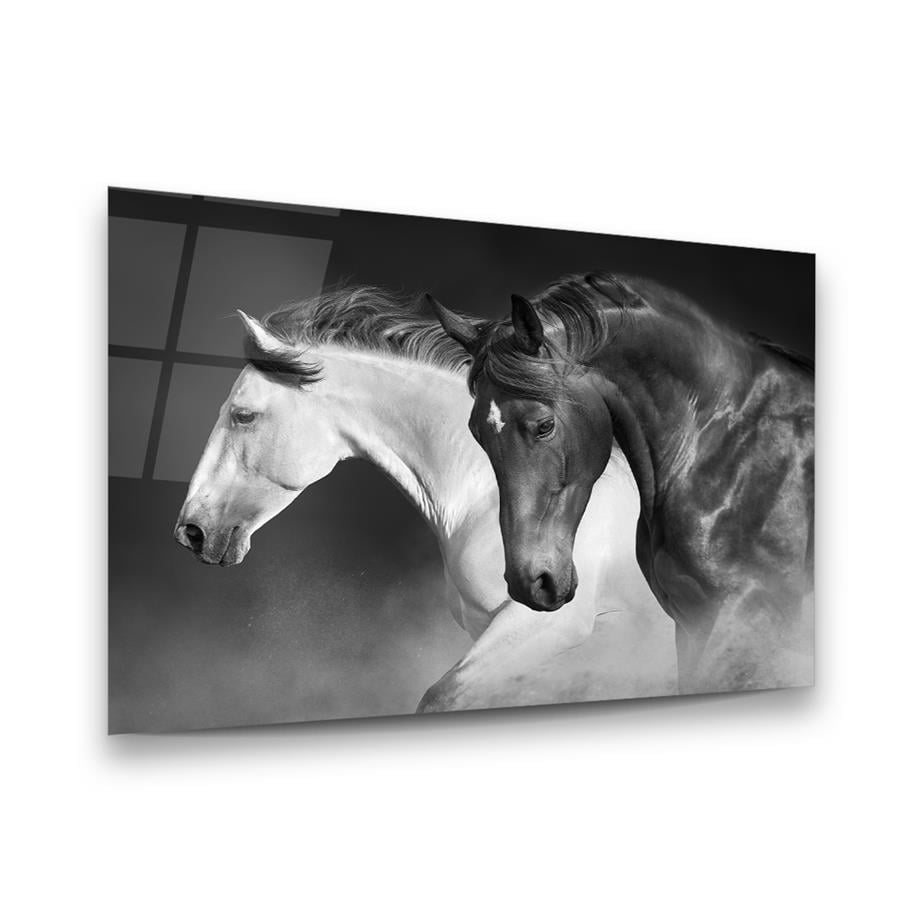Beyaz ve Siyah At Yatay Cam Tablo-Glass Art Concept