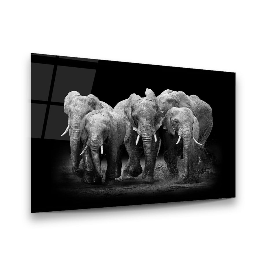 Filler Yatay Cam Tablo