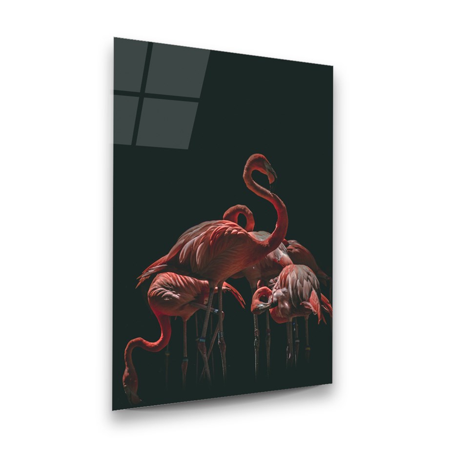 Flamingo Sürüsü Dikey Cam Tablo