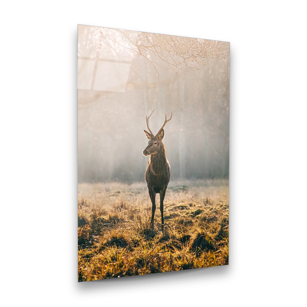 Geyik Dikey Cam Tablo