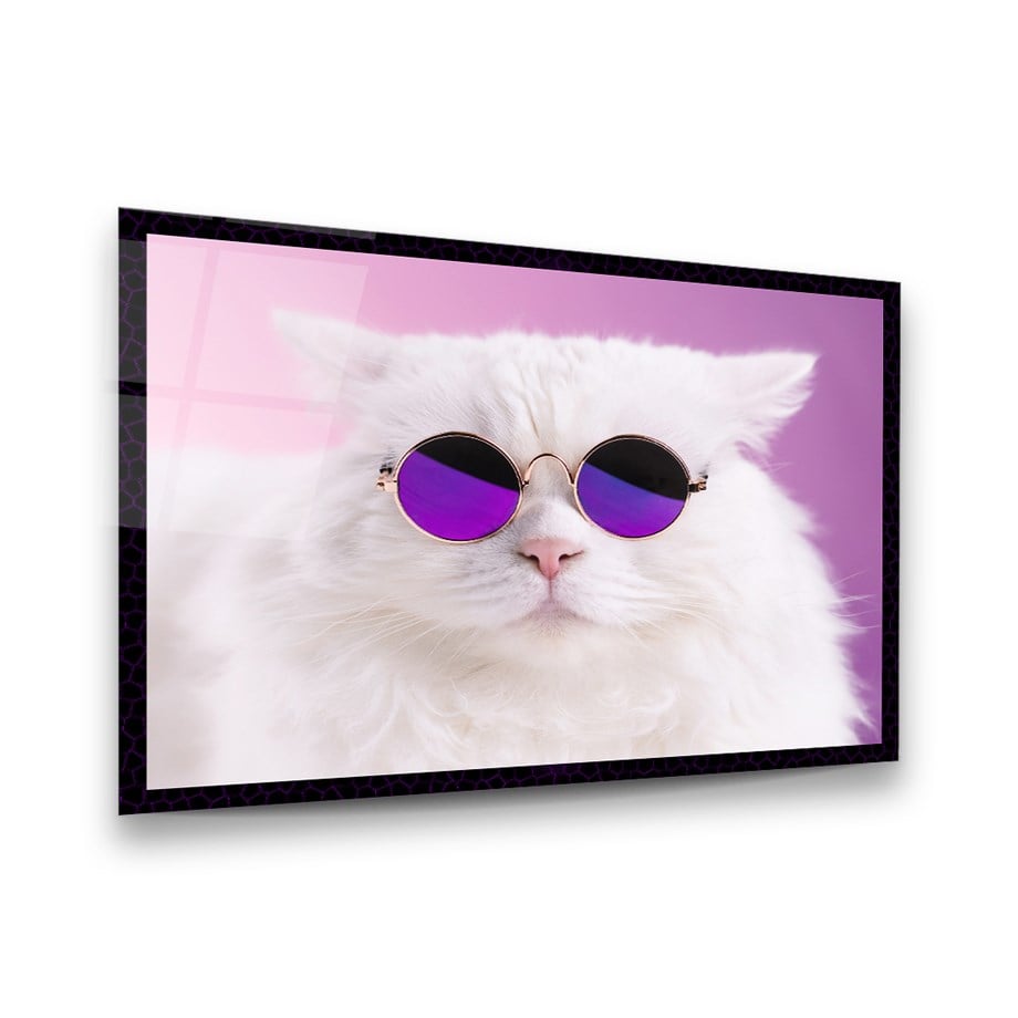 Gözlüklü Kedi Yatay Cam Tablo-Glass Art Concept