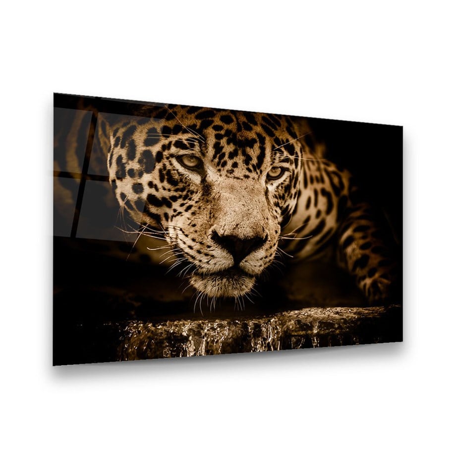 Jaguar Yatay Cam Tablo