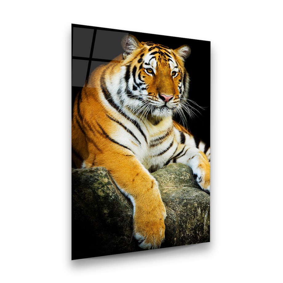 Kaplan Dikey Cam Tablo-Glass Art Concept