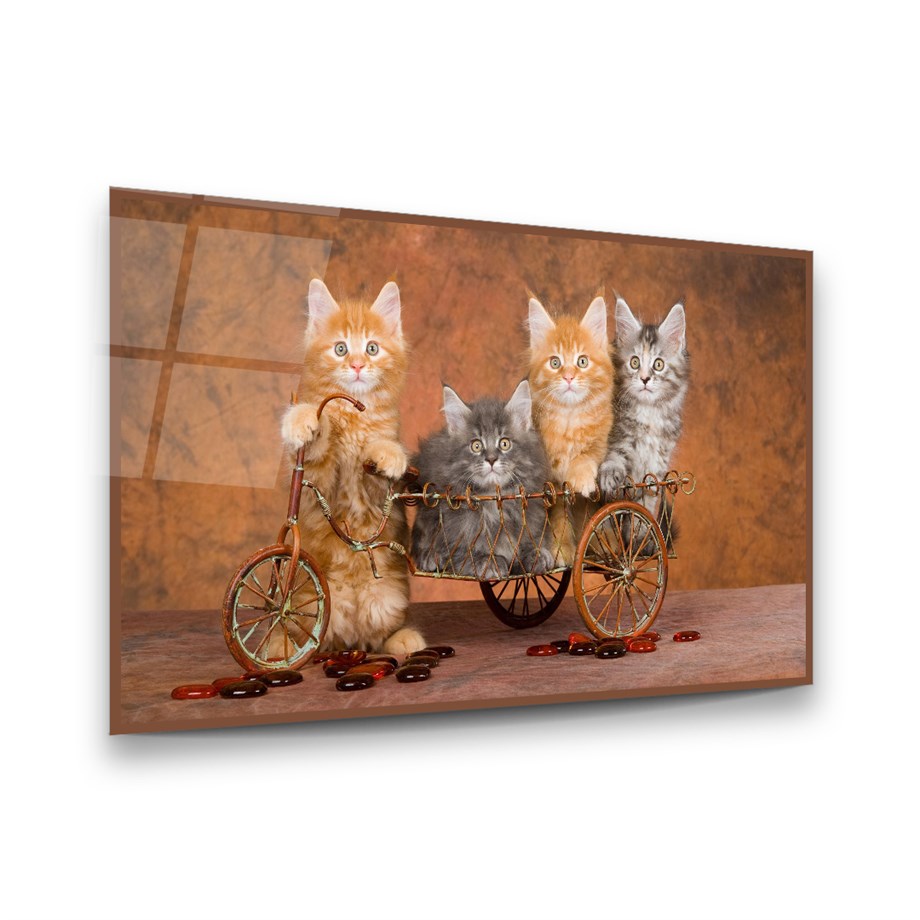 kediler Yatay Cam Tablo-Glass Art Concept