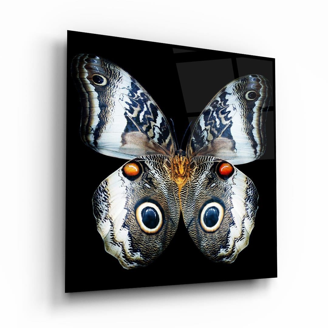 Kelebek Kare Cam Tablo-Glass Art Concept