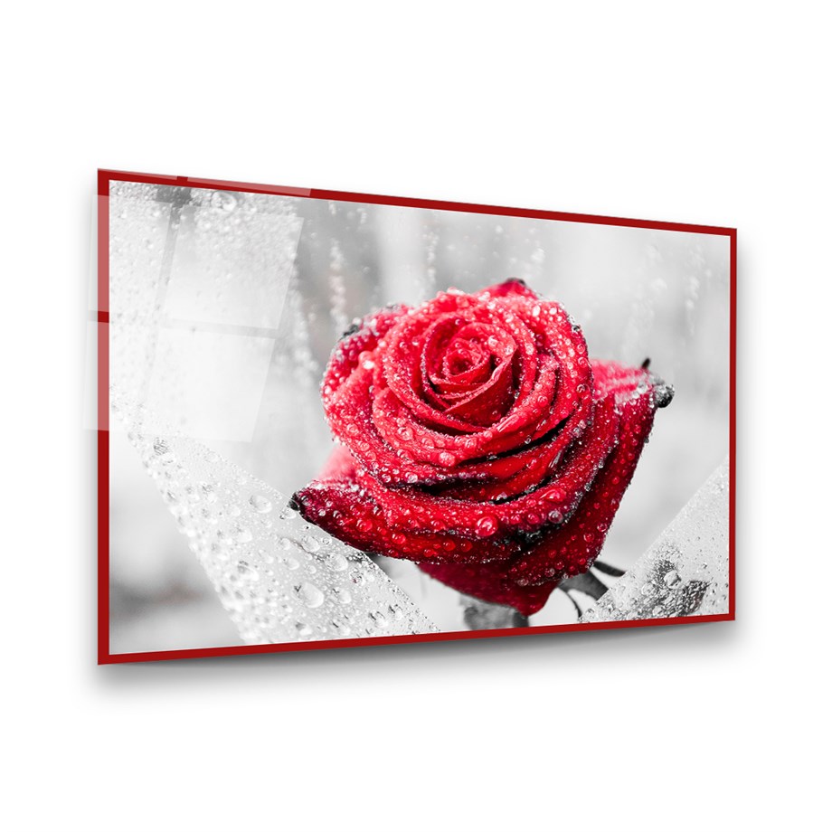 Kırmızı Gül Yatay Cam Tablo-Glass Art Concept