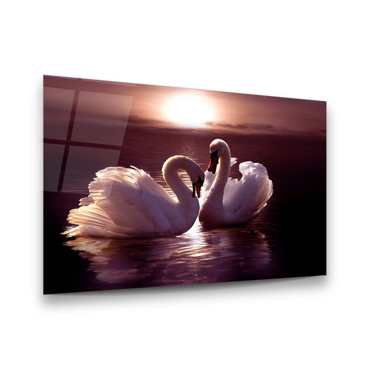 Kuğular Yatay Cam Tablo