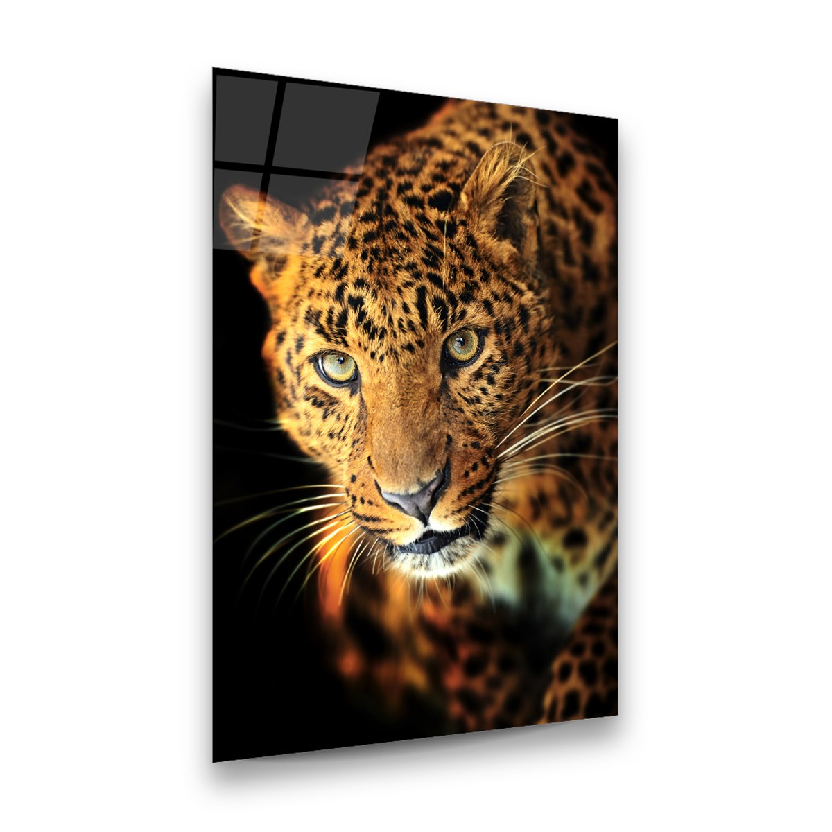 Leopar Dikey Cam Tablo