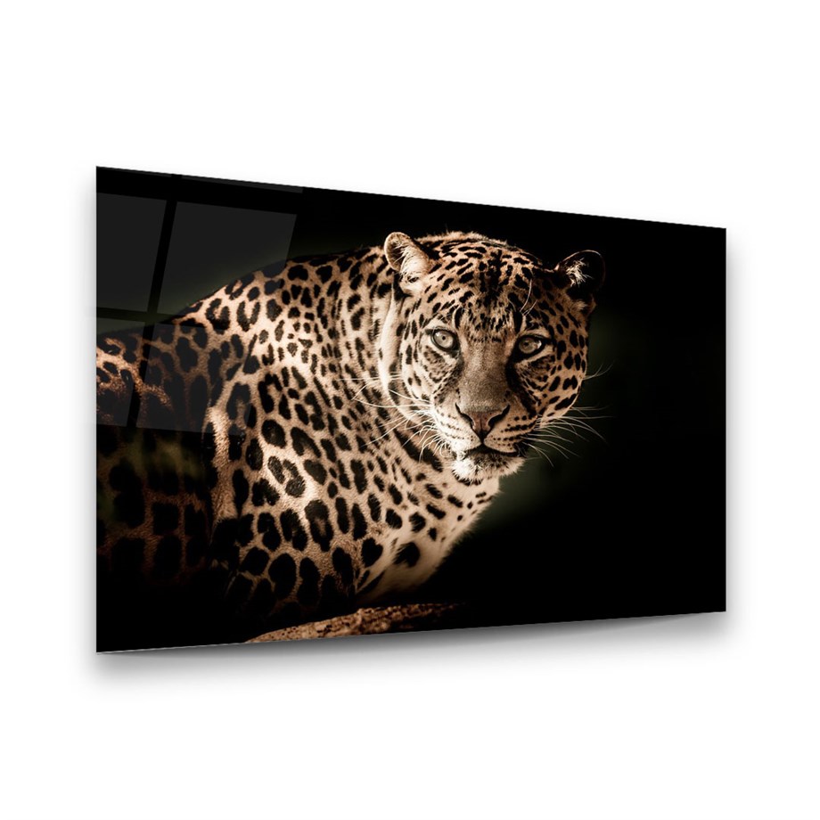 Leopar Yatay Cam Tablo