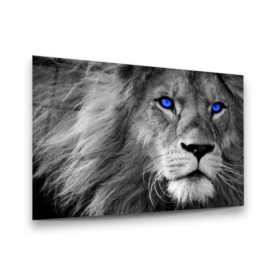 Mavi Gözlü Aslan Yatay Cam Tablo-Glass Art Concept