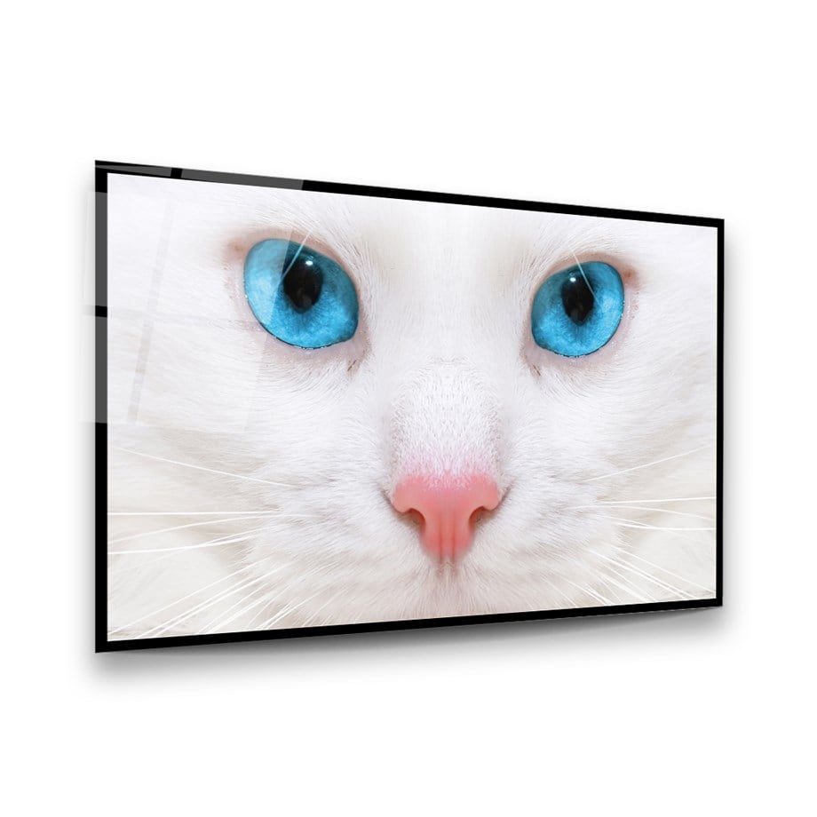 Mavi Gözlü Kedi Yatay Cam Tablo-Glass Art Concept