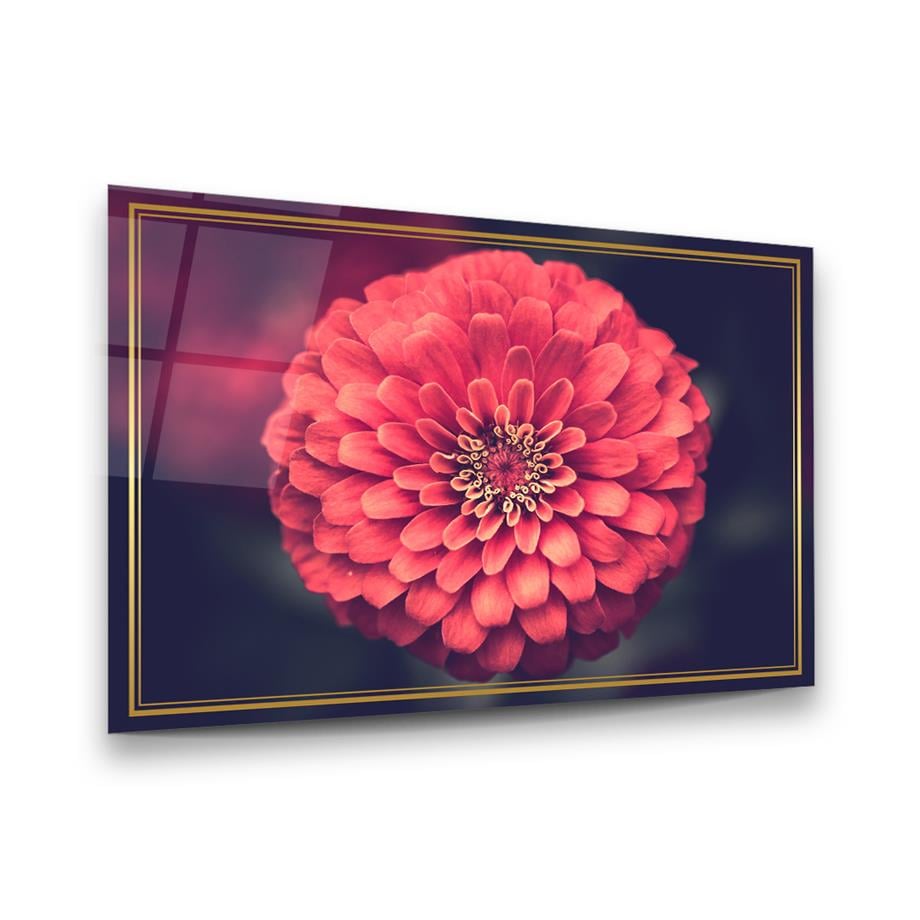 Pembe Dahlia Çiçeği Yatay Cam Tablo-Glass Art Concept