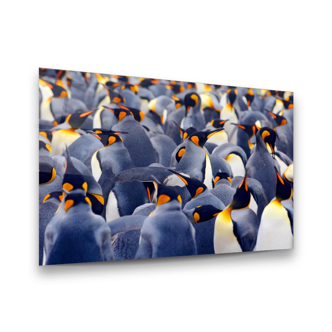 Penguenler Yatay Cam Tablo-Glass Art Concept