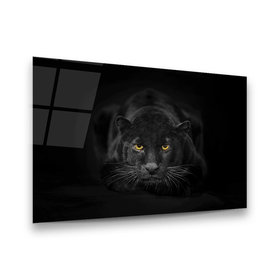 Siyah Panter Yatay Cam Tablo