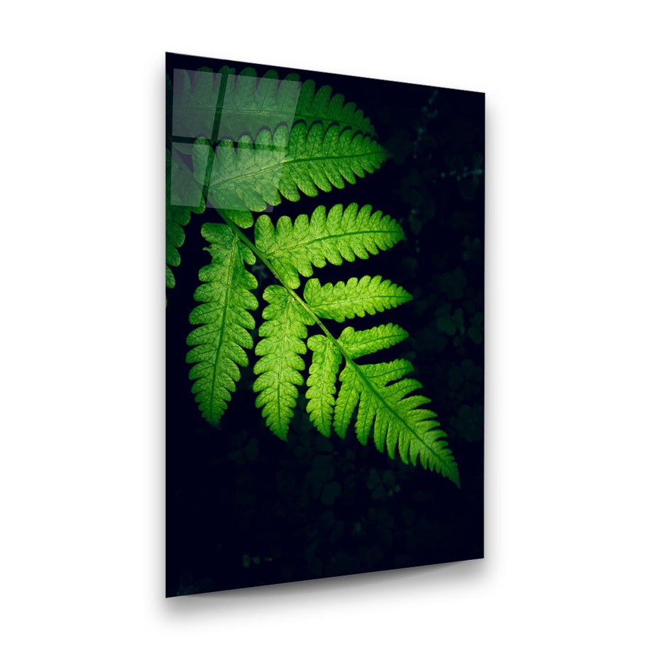 Yaprak Dikey Cam Tablo