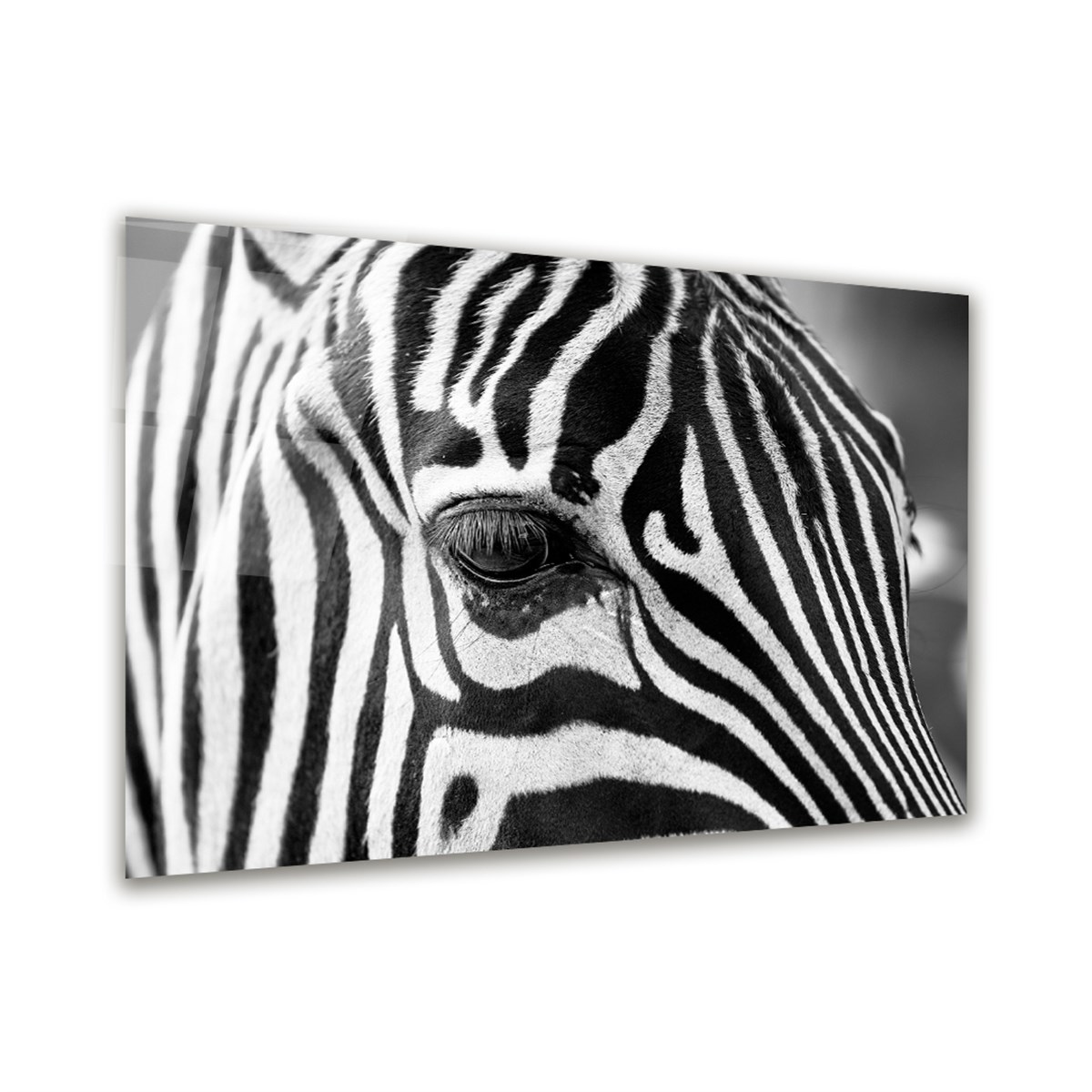 Zebra Yatay Cam Tablo