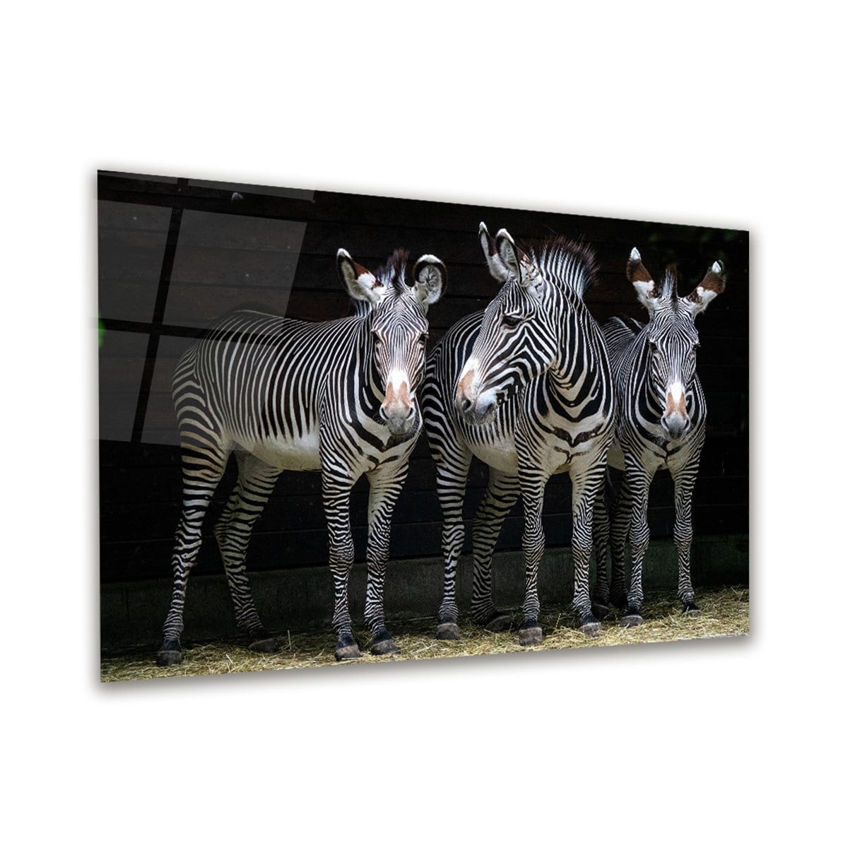 Zebra Yatay Cam Tablo