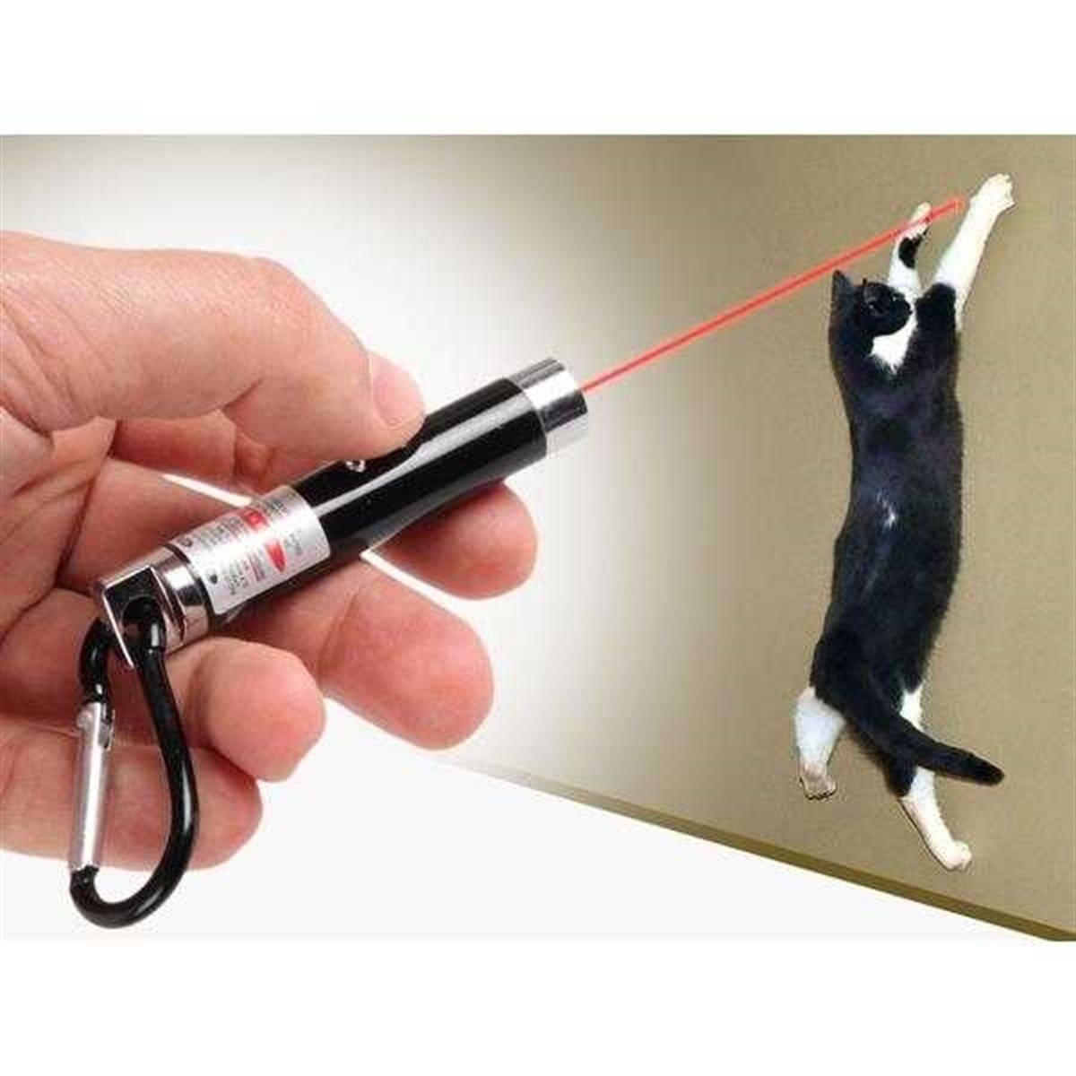 3 in 1 Kedi Lazer Oyuncağı