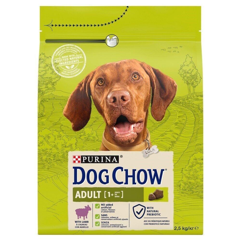 Dog Chow Kuzulu Yetişkin Köpek Maması 2.5 Kg