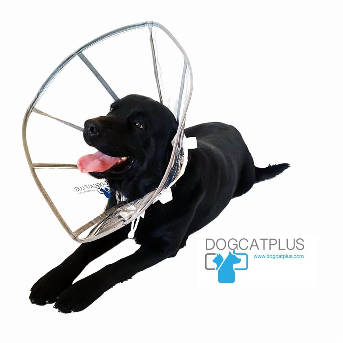 DogCatPlus Elizabeth Şeffaf Yakalık  LARGE