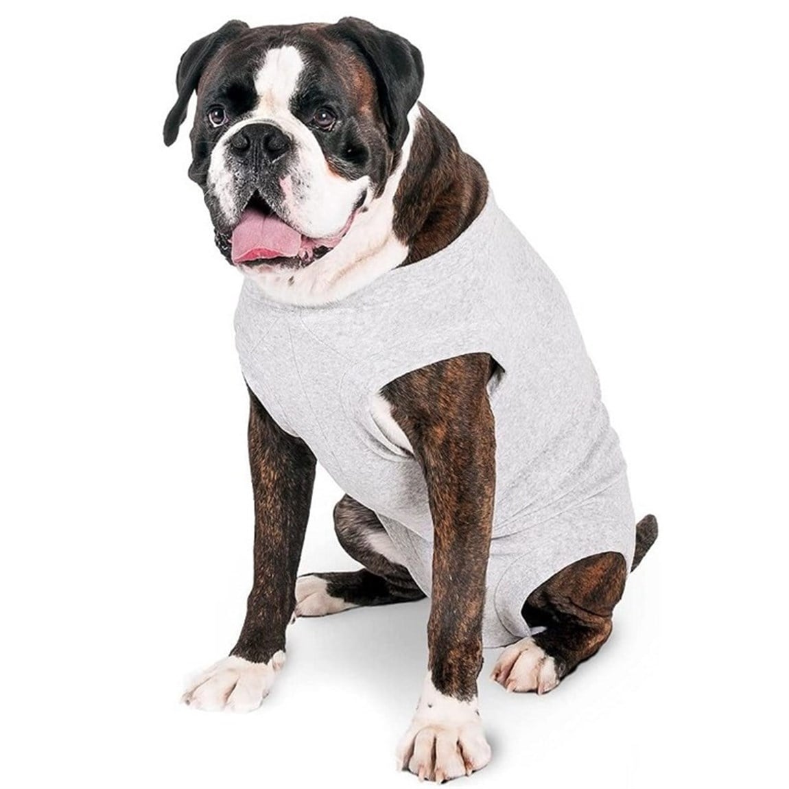 Karlie Koruyucu Köpek Kıyafeti 40 Cm