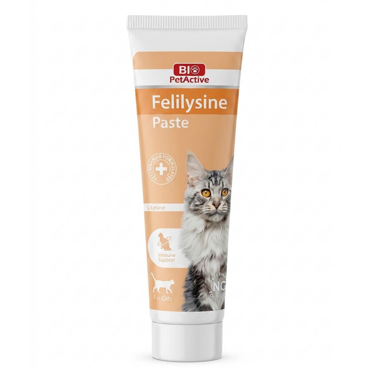 Pet Active Kediler İçin Felilysine Gel 100 Ml