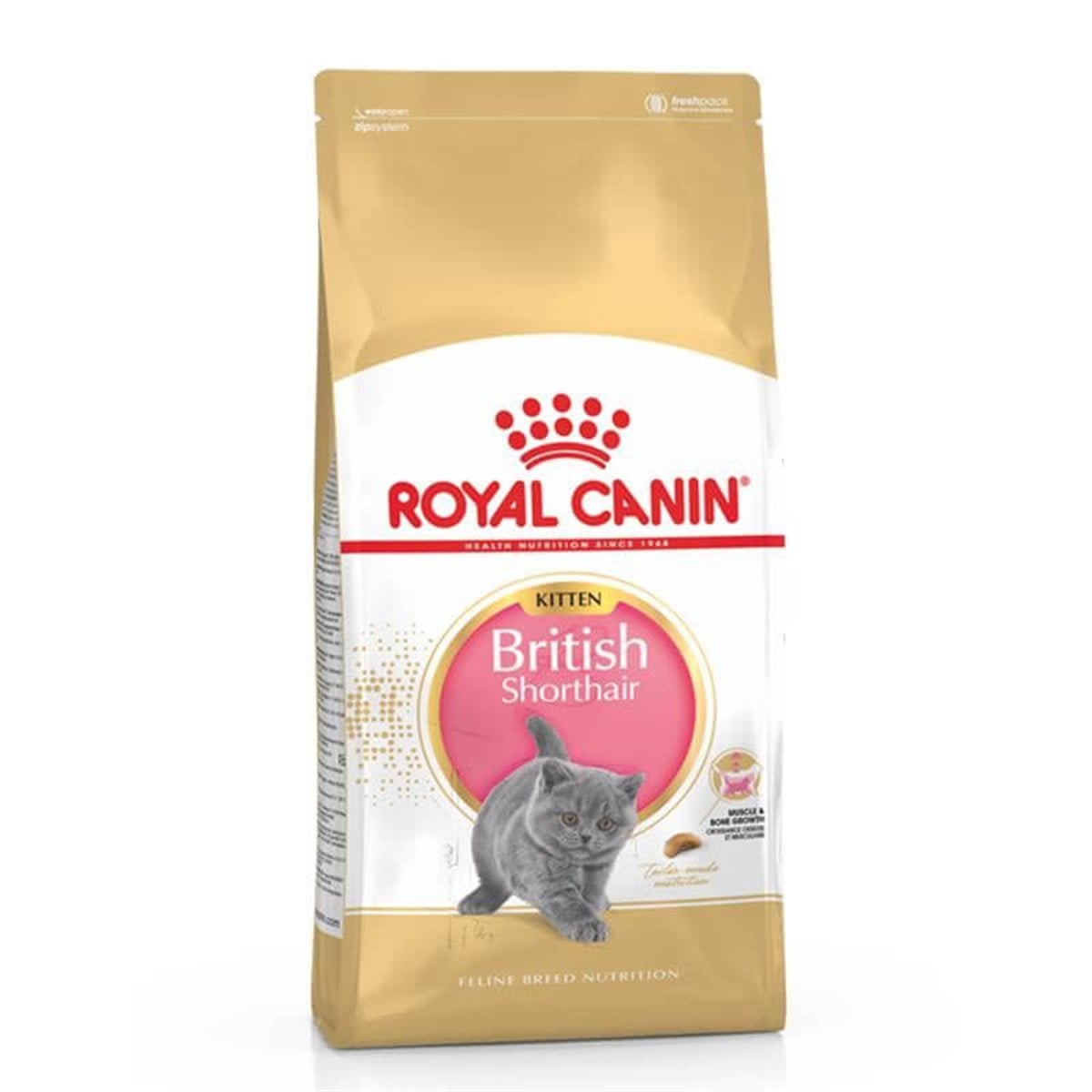 Royal Canin Feline Kitten British Shorthair Yavru Kedi Maması 2 Kg