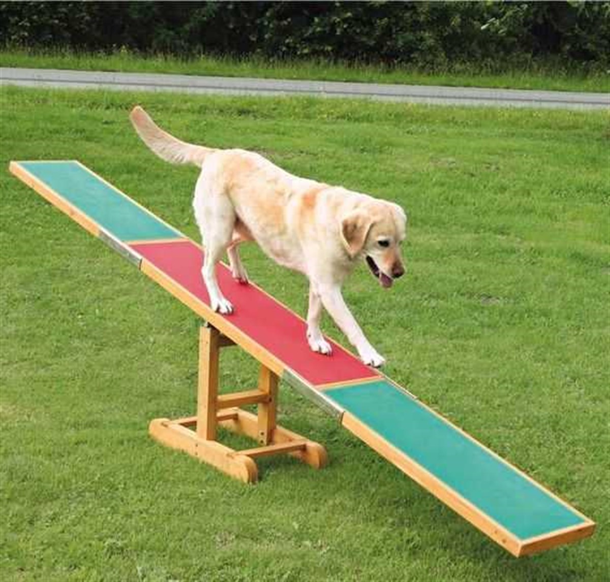 Trixie Agility Köpek Eğitim Tahtıravallisi 300x54x34 Cm