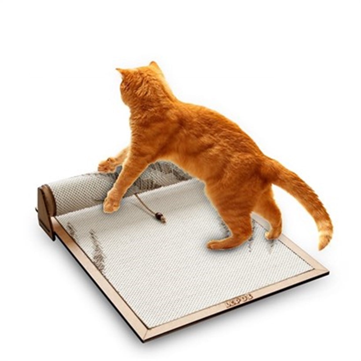 Wodoti Kedi Tırmalama Rampası