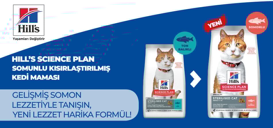 Hills Somonlu Kedi Maması