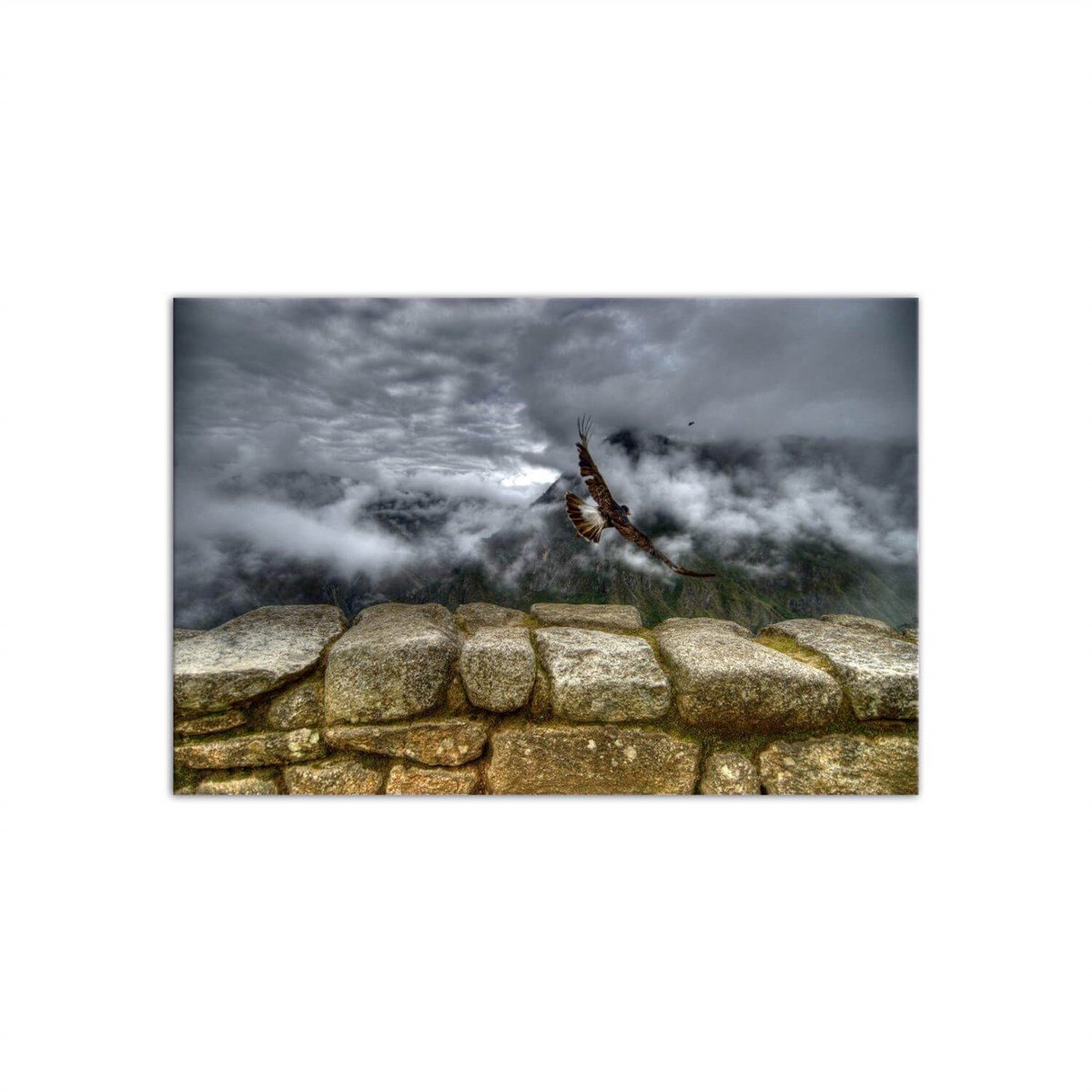 Bulutlarda Süzülen Şahin - Büyük Boy Kanvas TabloBüyük Boy Kanvas TablolarTablolife.com