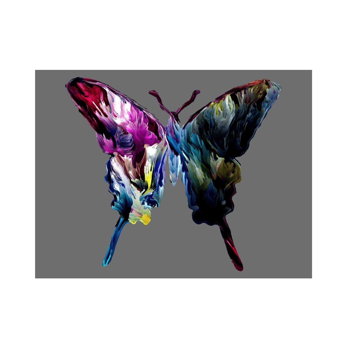 Colorful Butterfly Yağlı Boya Dokulu TabloYağlı Boya Dokulu Hayvan TablolarıTablolife