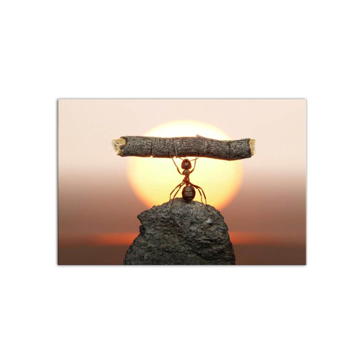 Doğanın Gücü - Büyük Boy Kanvas TabloBüyük Boy Kanvas TablolarTablolife.com