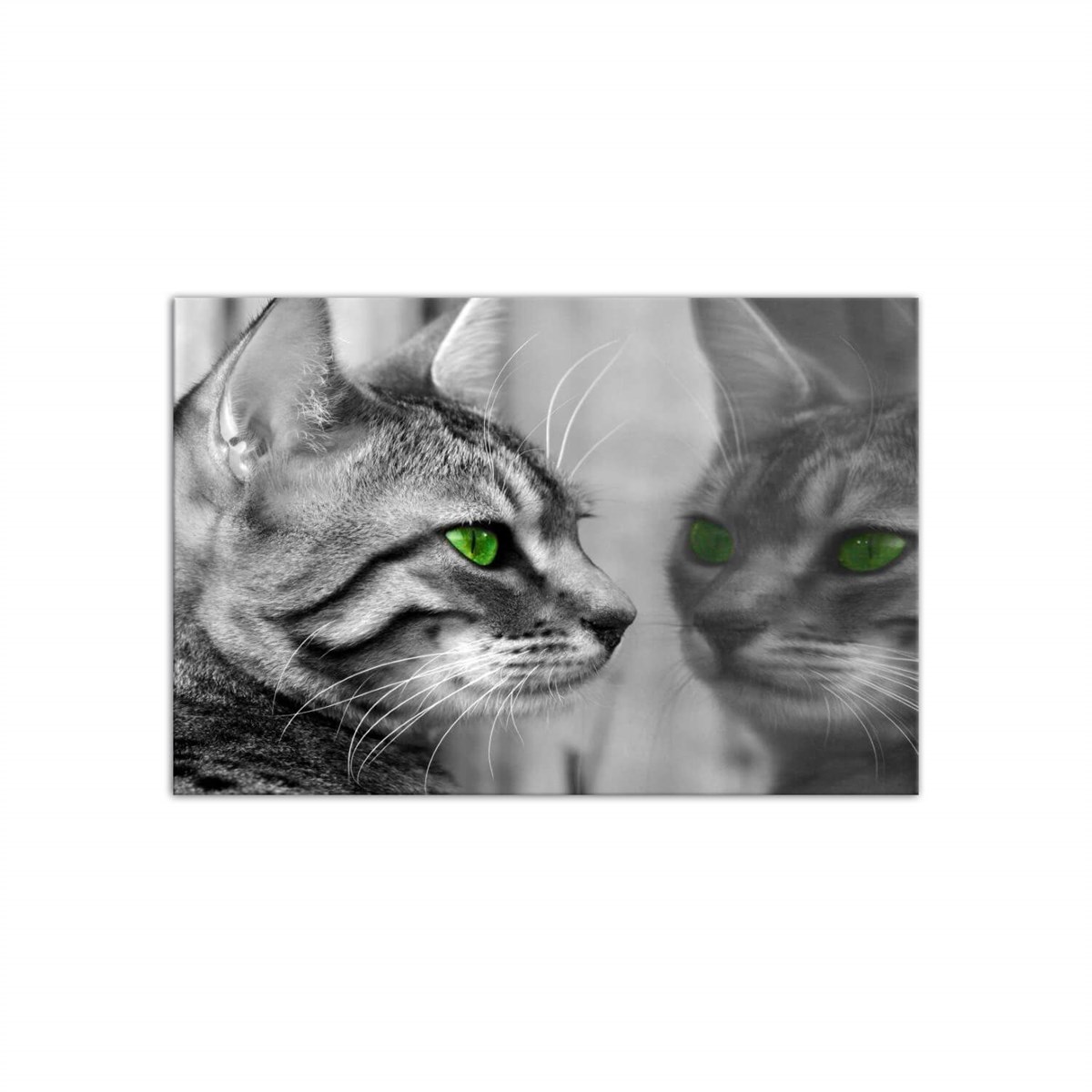 Green Eyed Cat - Büyük Boy Kanvas TabloBüyük Boy Kanvas TablolarTablolife.com