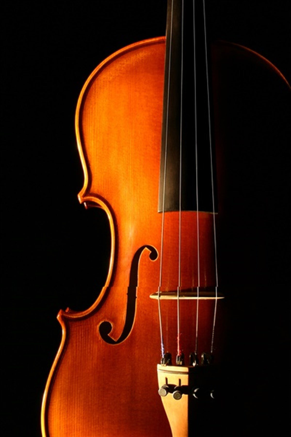 Keman - Kanvas Tablo