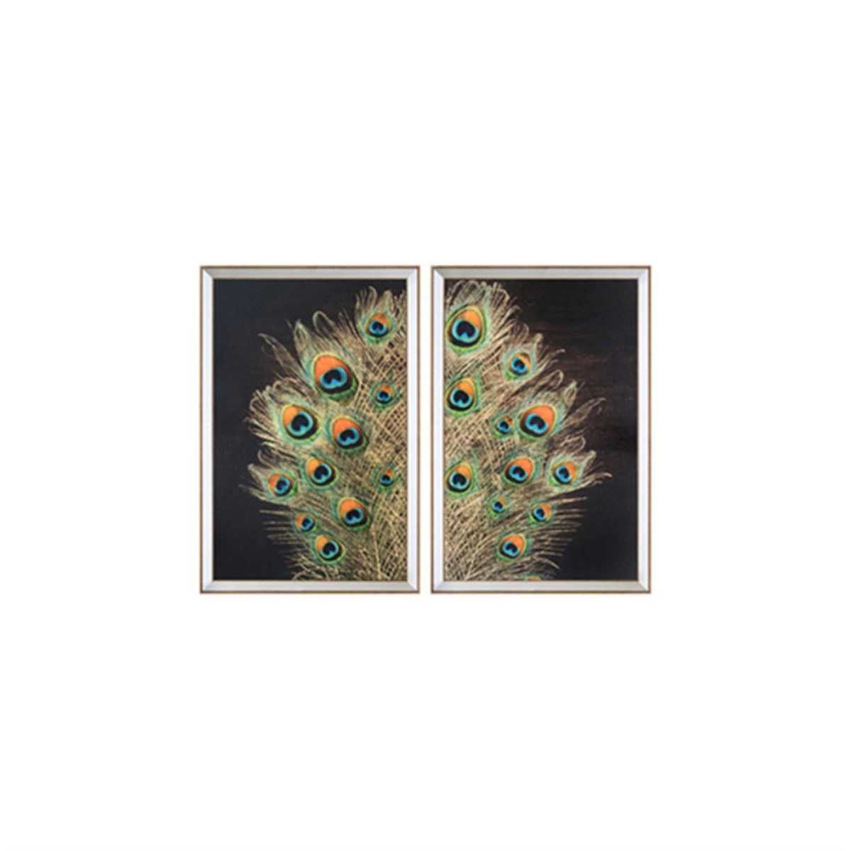 Tavus Kuşu - Cam Üzeri İşleme 2'li Set Tablo