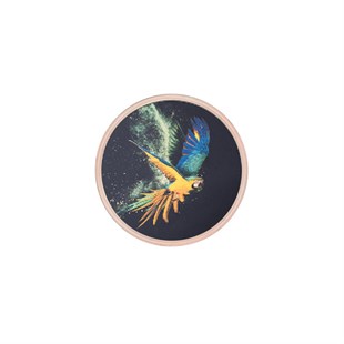 Macaw - Cam Üzeri İşleme Tablo