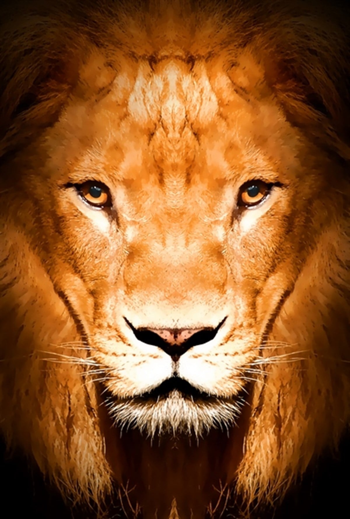 Aslan Yakın Çekim - Kanvas Tablo