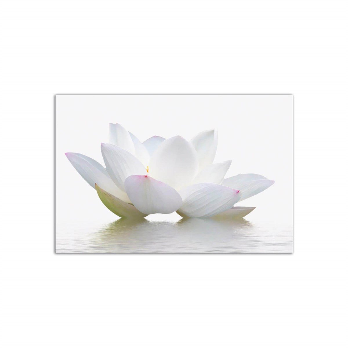 Beyaz - Büyük Boy Kanvas TabloBüyük Boy Kanvas TablolarTablolife.com