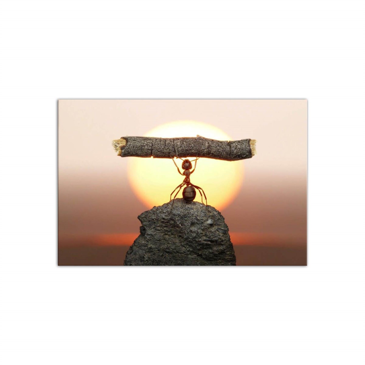 Doğanın Gücü - Büyük Boy Kanvas TabloBüyük Boy Kanvas TablolarTablolife.com