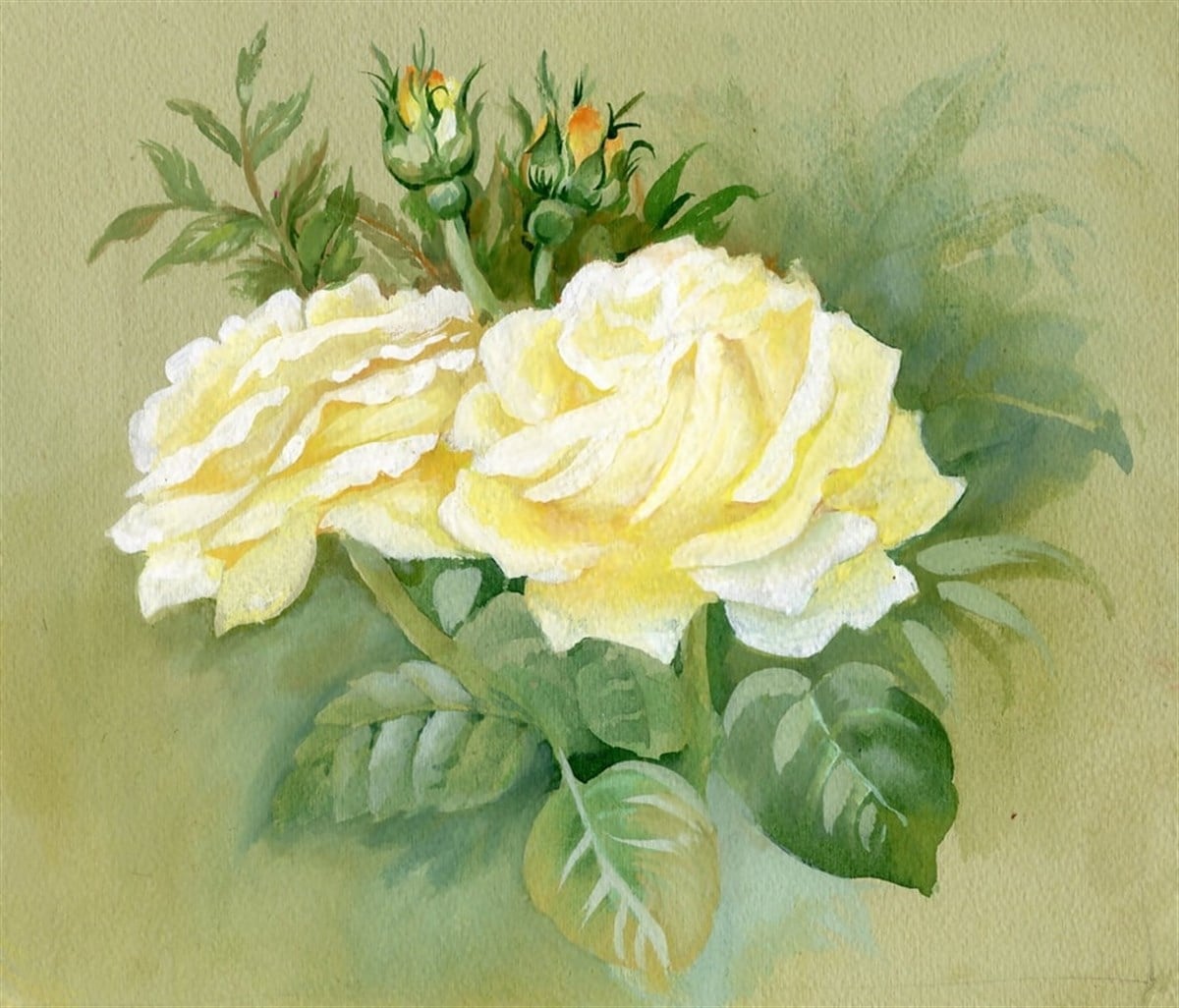 Floribunda - Kanvas Tablo