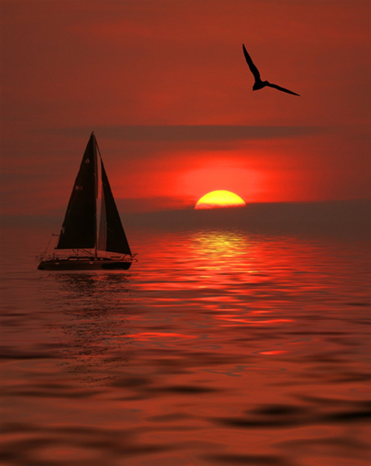 Gün Batımında Yelkenli ve Martı - Kanvas Tablo