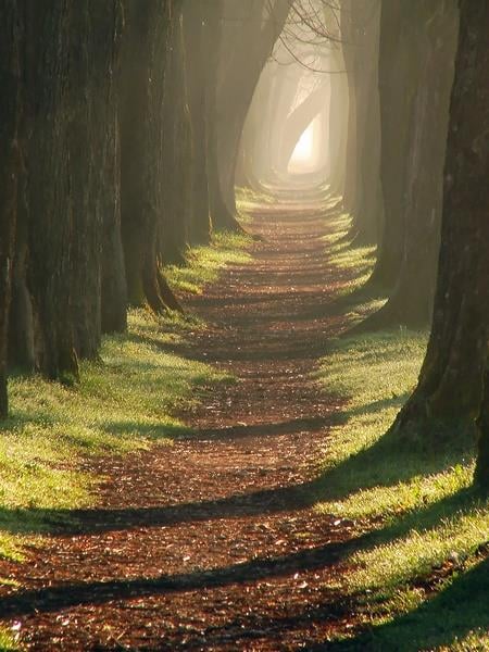 Güneşe Giden Yol  Kanvas TabloKanvas TablolarTablolife