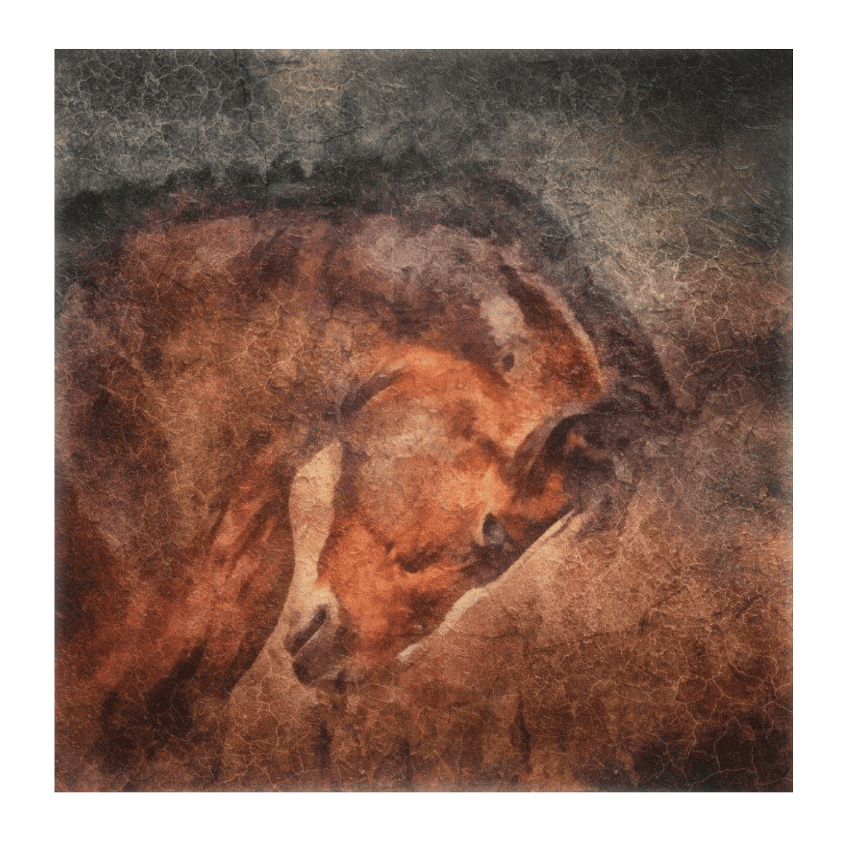 Horse Yağlı Boya Dokulu TabloYağlı Boya Dokulu Hayvan TablolarıTablolife