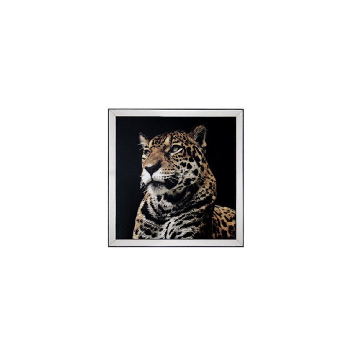 Kaplan 2 - Ayna Çerçeveli Cam Üzeri İşleme Tablo