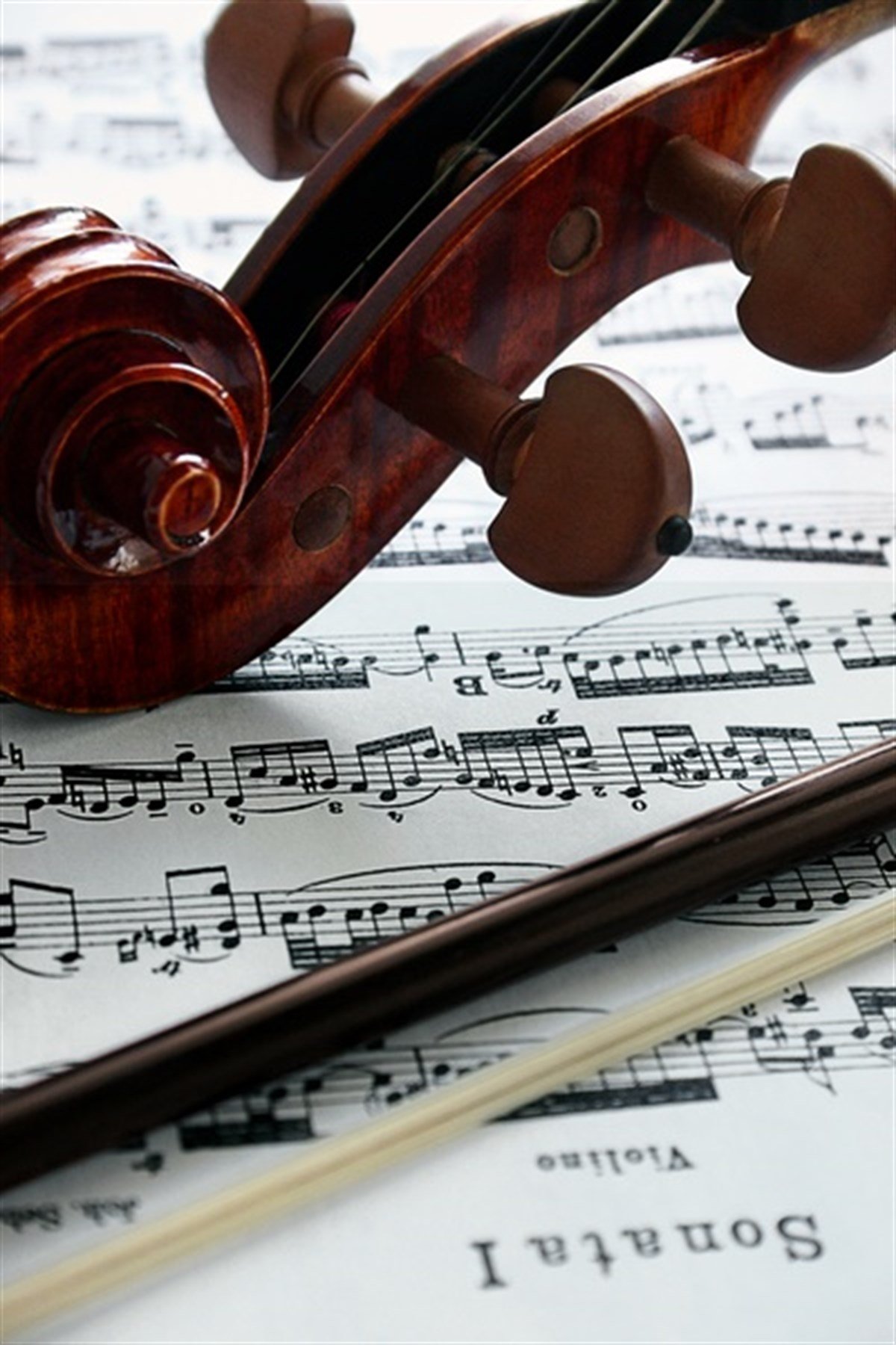 Keman Salyangozu - Kanvas Tablo