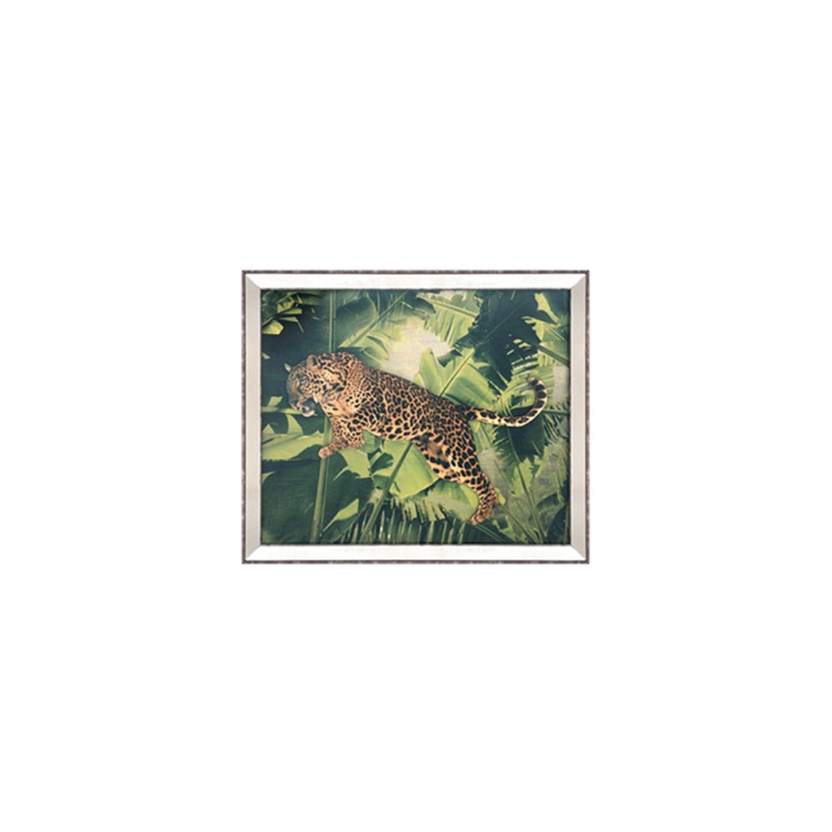 Leopar 2 - Cam Baskı Tablo