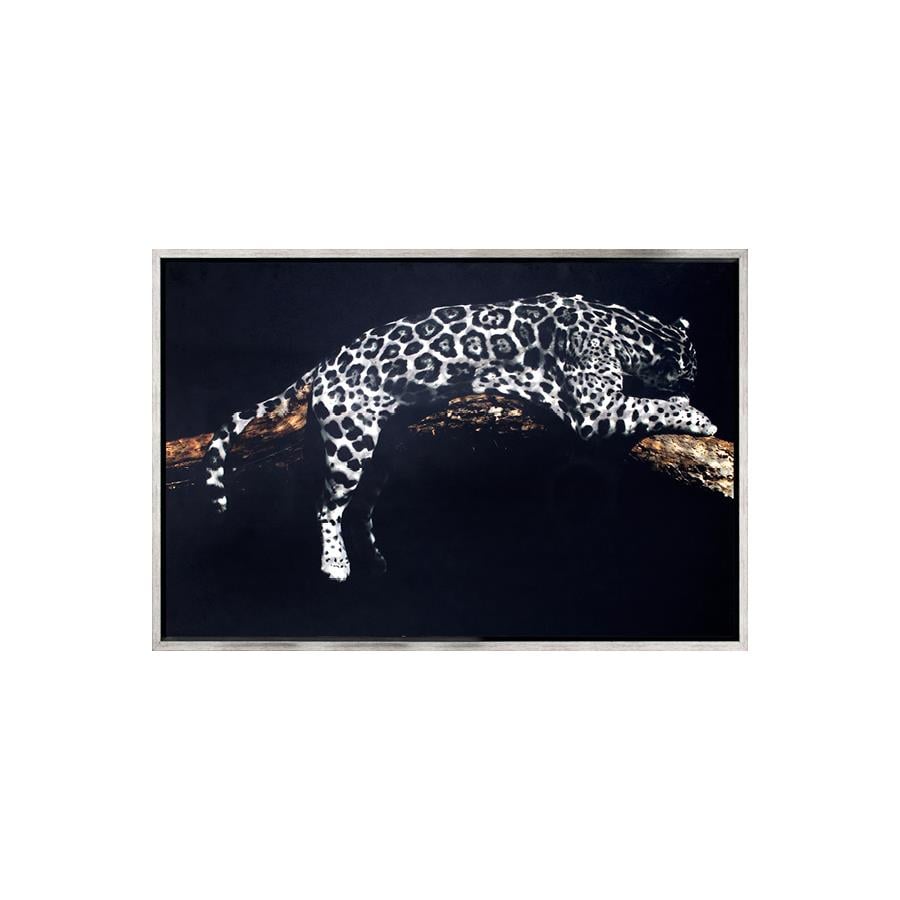 Lying Tiger Cam Baskı TabloTablo / PanoTablolife.com